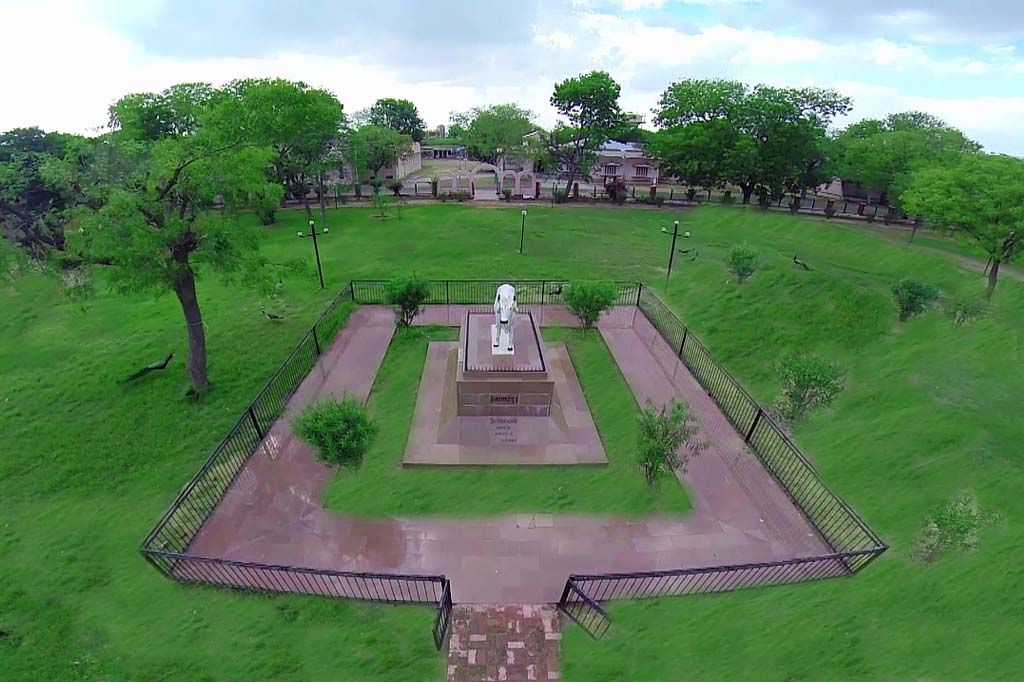 Lush Green Campus &mdash; Photo 3